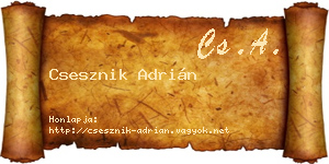 Csesznik Adrián névjegykártya