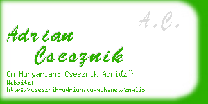 adrian csesznik business card